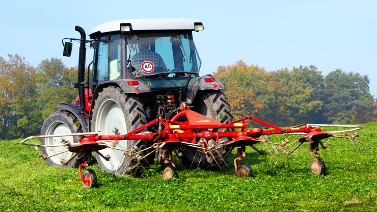 Polska wśród unijnych liderów w produkcji owoców i warzyw