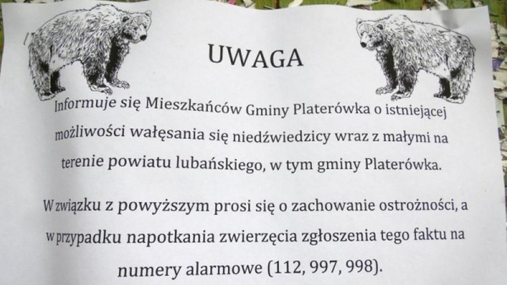Ostrzeżenie przed niedźwiedziami w Karkonoszach. Poprzednio widziano je 200 lat temu