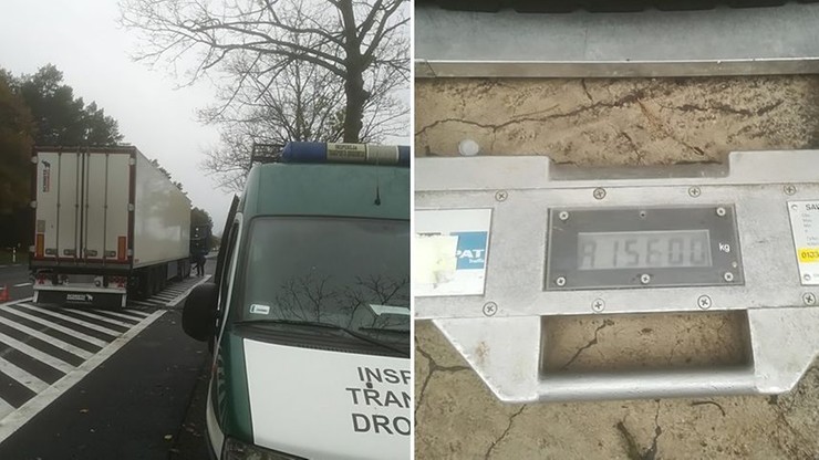 O 15 ton kociego jedzenia za dużo. Kierowca starał się je "ukryć" przed inspektorami