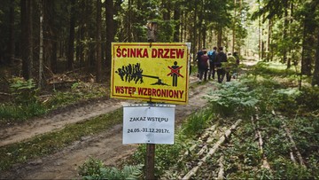 12-07-2017 13:20 To już pewne. Pozew przeciwko Polsce do Trybunału Sprawiedliwości i wezwanie do natychmiastowego przerwania wycinki w Puszczy