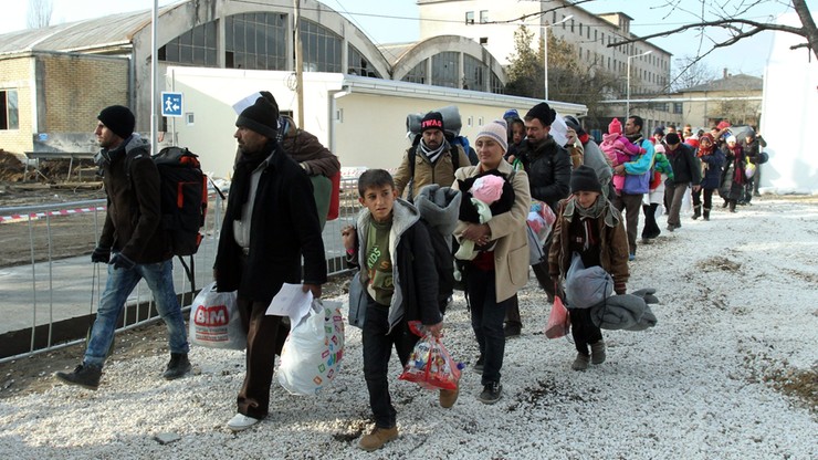 250 mln imigrantów na świecie w 2015 roku