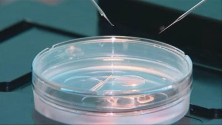 Projekt ws. in vitro do kosza. Kilku posłów Kukiz'15 wycofało podpisy