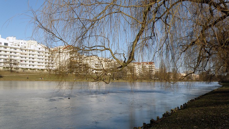 Nieruchomości z zabytkowego parku sprzedane. MJN obawia się, że powstanie tam apartamentowiec