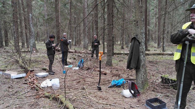 Liczą rośliny, pobierają próbki gleby. Trwa inwentaryzacja Puszczy Białowieskiej