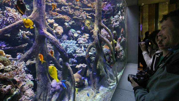 Akwarium w warszawskim zoo już po remoncie. Otwarcie 6 grudnia