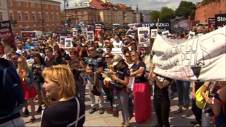 "Nigdy więcej Yulin". Protest przeciw chińskiemu festiwalowi psiego mięsa