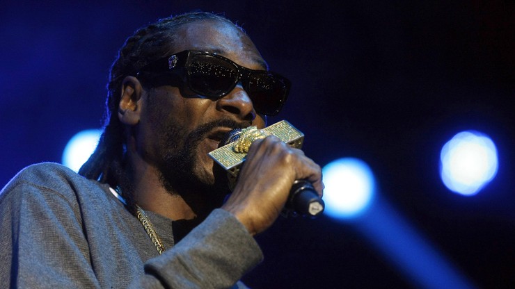 Wypadek na koncercie Snoop Dogga. 42 osoby zostały ranne