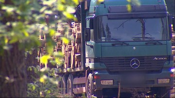 03-08-2017 13:43 Pobili operatora, ale Lasy Państwowe nie zerwą z nimi umowy. "Nie ma podstaw" - twierdzi rzecznik przedsiębiorstwa