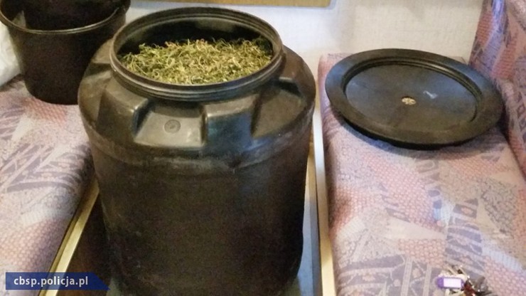 Magazyn narkotykowy na posesji z dwumetrowym wałem. W środku 42 kg marihuany, 2 kg haszyszu