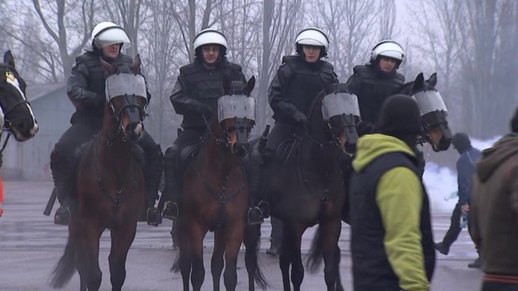 Konie do walki z kibolami. Na razie ćwiczą w Łodzi