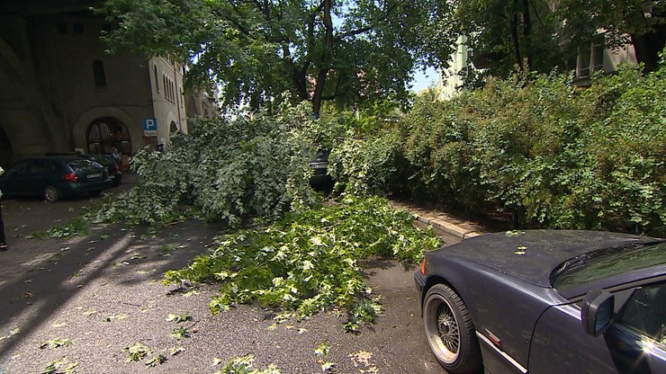 Blisko 10 tys. odbiorców bez prądu. Burze nad Warmią i Mazurami