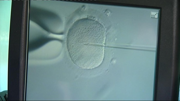 Warszawa będzie refundować zabiegi in vitro