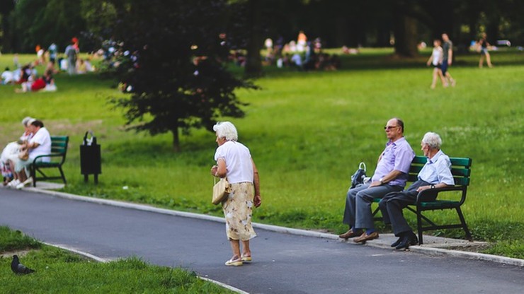 Chcą zabierać seniorów na jednodniowe wycieczki za miasto. Potrzebują wsparcia