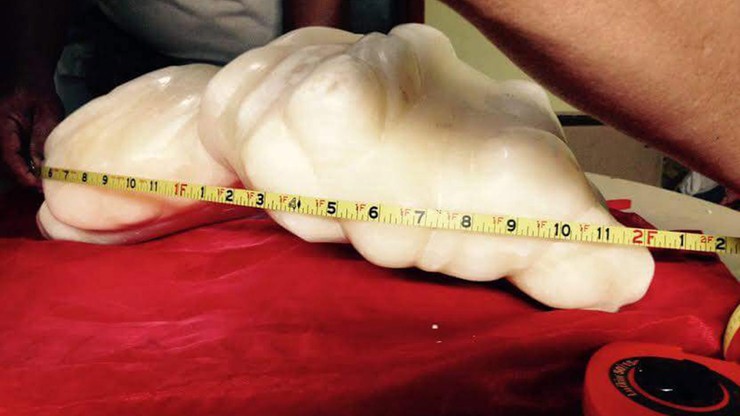 Największa perła świata waży 34 kg