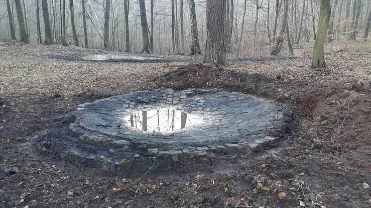 "Sarniogórskie Stonehenge". Odkryto tajemnicze kręgi w lidzbarskich lasach