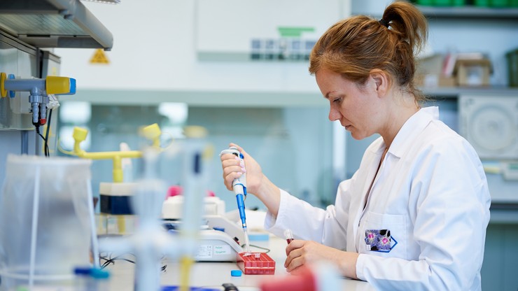 Polacy pracują nad szczepionką przeciwko wirusowi Zika