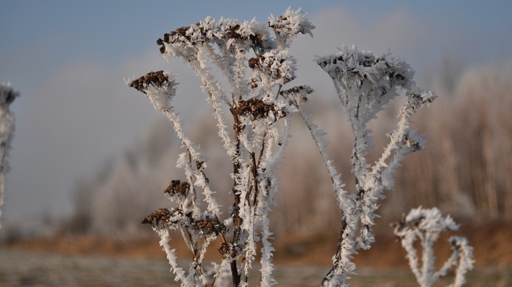 Pierwszy śnieg w Beskidach; warunki turystyczne są trudne