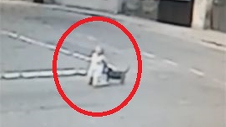 Wybiegł z bramy i przewrócił ją na ziemię. Agresywny pies zaatakował nastolatkę