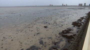 11-09-2017 12:14 "Gdzie jest ocean?". Irma "wyssała" wodę i odsłoniła dno Atlantyku