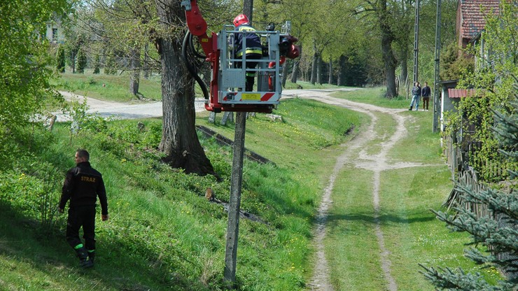 Szop na słupie, strażacy w pracy
