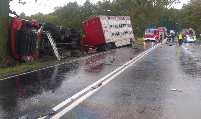 Wypadek w Niewierzu. Dwie ofiary