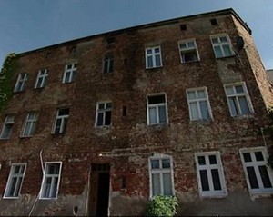 Prawo chroni dzikich lokatorów