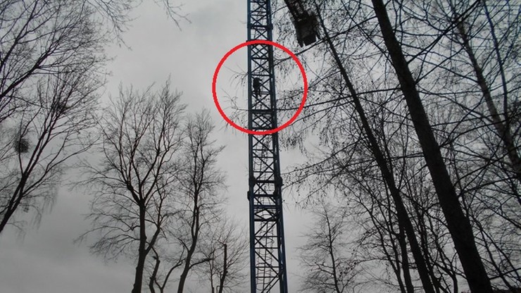 Wspiął się na dźwig, by podziwiać widok. Miał 3,2 promila