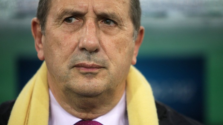 Leekens trenerem piłkarskiej reprezentacji Węgier