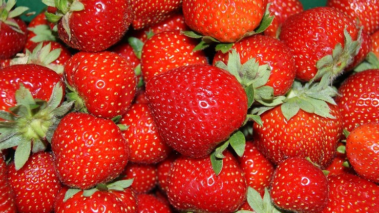 Eksperci: mniejsze zbiory truskawek. Ceny będą wyższe