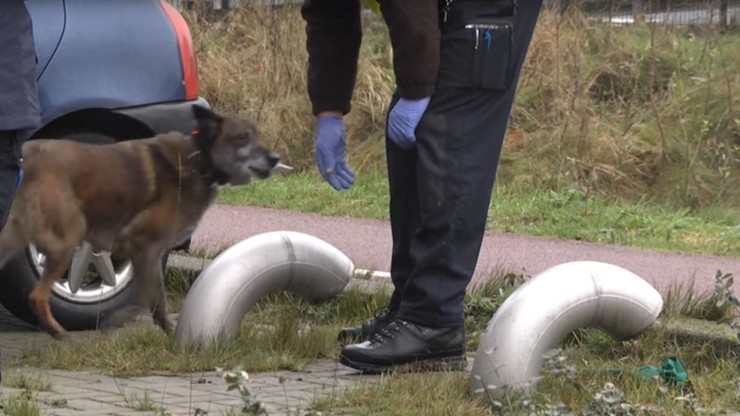 Napad na Polaków w Holandii. Jeden z nich został postrzelony