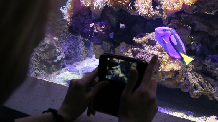Akwarium w warszawskim zoo już po remoncie. Otwarcie 6 grudnia