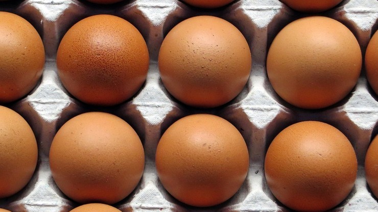 Belgia chce skarżyć holenderską firmę odpowiedzialną za skażenie jaj