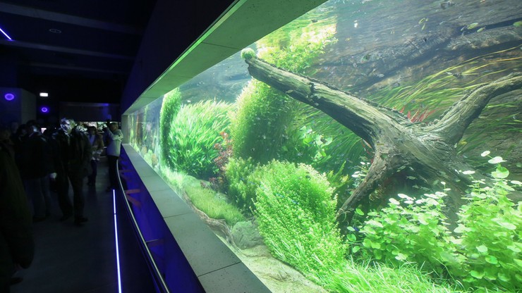 Akwarium w warszawskim zoo już po remoncie. Otwarcie 6 grudnia
