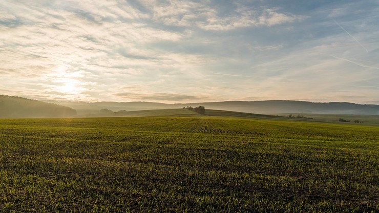 Najwięcej ziemi w Polsce kupują Niemcy i Holendrzy. Raport MSWiA