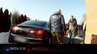 Autościema