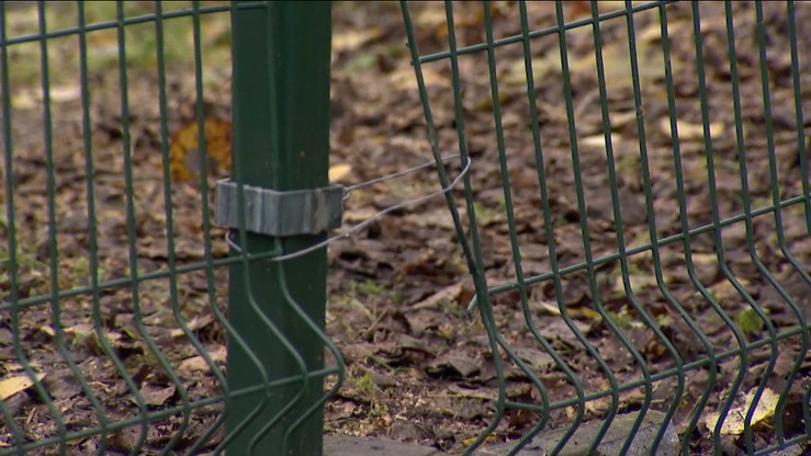 Miał ukraść Teslę X z parkingu Straży Granicznej. Najbliższe trzy miesiące spędzi w areszcie