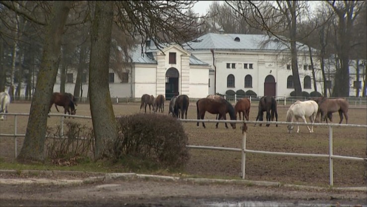 RMF: biegli uznali, że zarządzanie stadniną w Janowie Podlaskim nie budziło zastrzeżeń