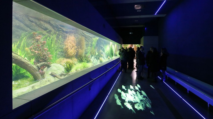 Akwarium w warszawskim zoo już po remoncie. Otwarcie 6 grudnia