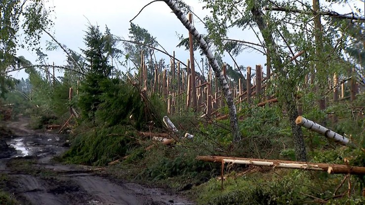 Ponad 58 mln zł przekazało MSWiA poszkodowanym po nawałnicach