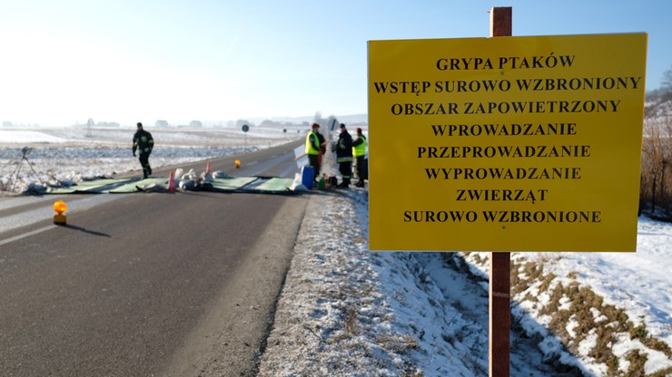 Małopolska: zlikwidowano ogniska ptasiej grypy