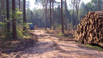 02-08-2017 21:46 Stowarzyszenie Dziennikarzy Polskich potępiło atak na operatora kamery Polsat News