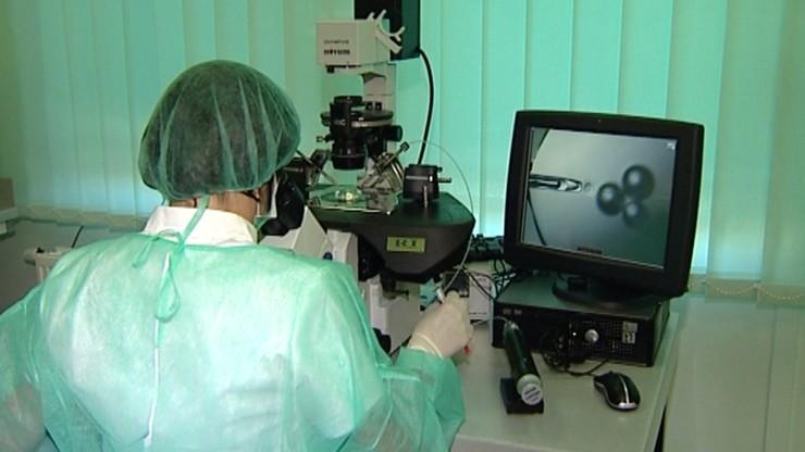 Częstochowa przedłużyła finansowanie in vitro do 2020 r. Już 23 dzieci urodziło się w mieście w ramach programu