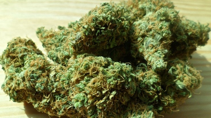 Dał policjantowi marihuanę. Pomylił go z klientem