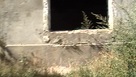 364292d5a09d093725bfd984de04567f