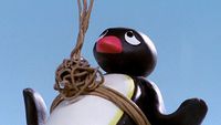 Pingu "Pingu chce latać"