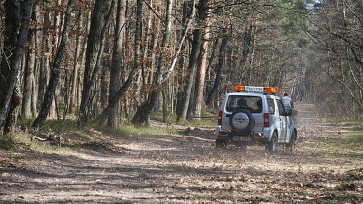 Akcja "Quad" w łódzkich lasach. Walka z amatorami nielegalnych "rajdów"