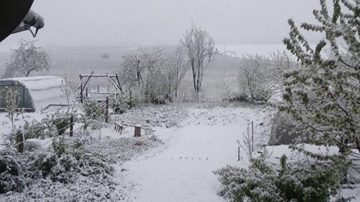 Śnieżny majowy poranek