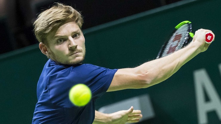 Turniej ATP w Rotterdamie: Goffin i Tsonga w finale