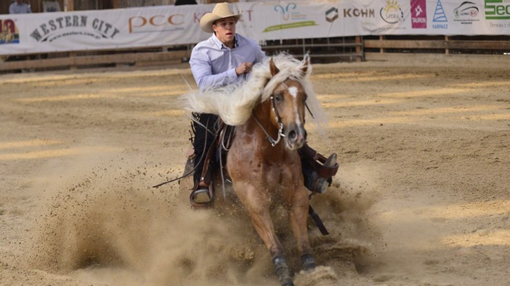 Amerykański luz na MP western i rodeo