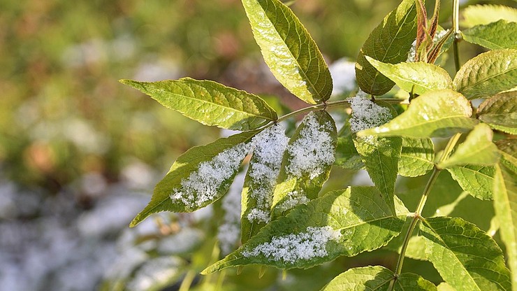 Czeka nas pierwszy powiew zimy. Synoptycy zapowiadają opady śniegu
